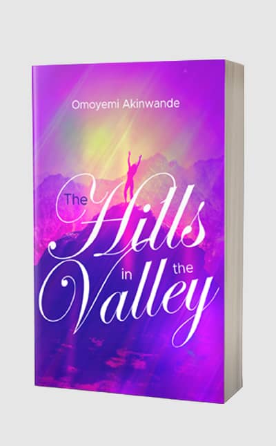 The Hills in The Valley book cover